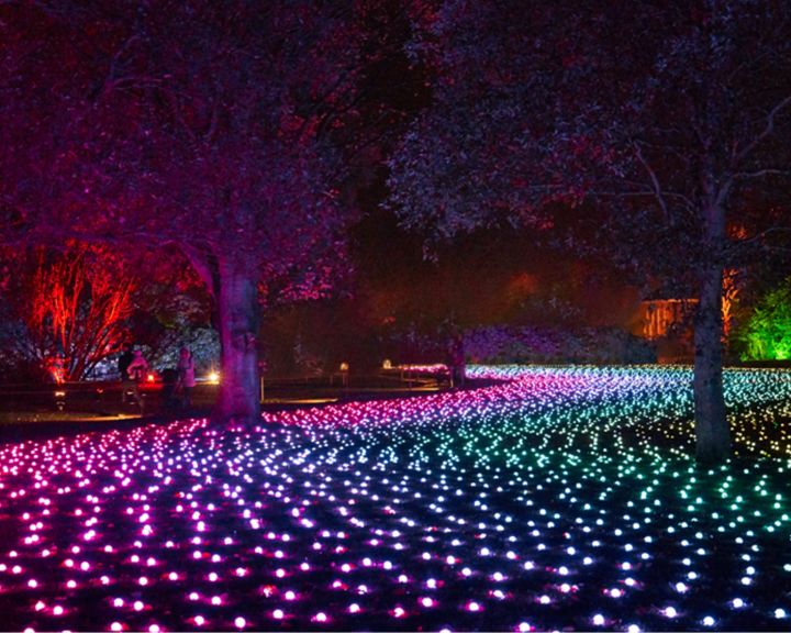 Lightscape